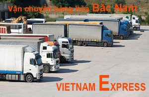 công ty vận tải Việt Nam Express